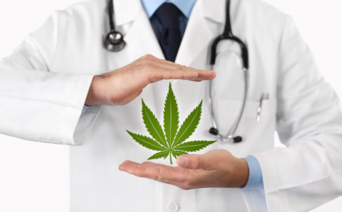 what-you-need-to-know-about-medical-cannabis-and-its-legalization